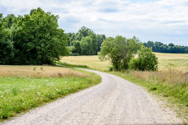 Cost of Stone Driveway Repair in Vacaville