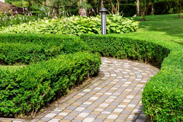 Cost of Paved Landscaping in Vacaville