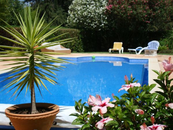 Cost of Pool Terrace Renovation in Vacaville